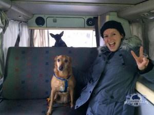 furgoneteo mantenimiento mecanico vw t4 taller