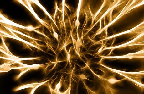 Definición de la semana: Neuronas sensitivas, interneuronas y neuronas motoras