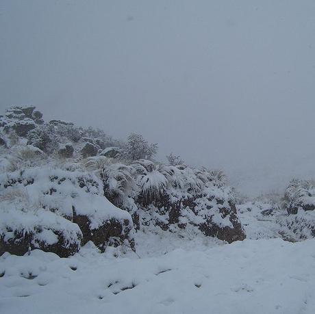Un recorrido de sensaciones a través de las distintas temperaturas en el Cerro Champaquí.