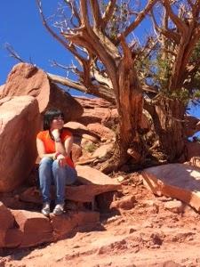 El Gran Cañón del Colorado