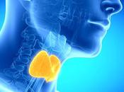 enfermedad tiroides: Diez preguntas todo paciente tiroides debe pregunta