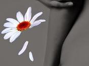 Deshojando margaritas