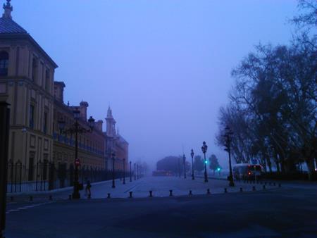 A principios de marzo, Sevilla amanecía de esta guisa...