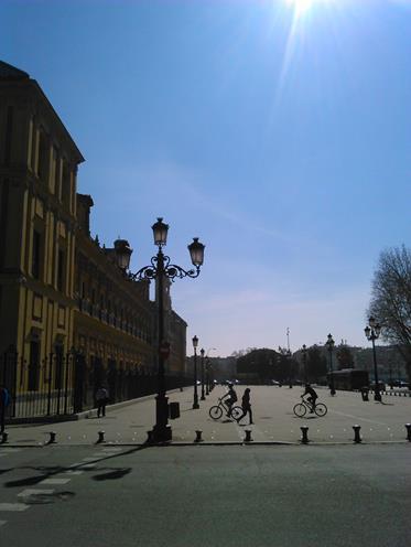 A principios de marzo, Sevilla amanecía de esta guisa...