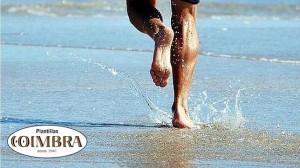 plantillas coimbra deporte