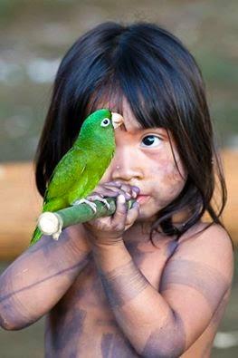 Amazonas, Verde y miel