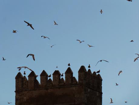 Rabat, la capital del reino alauita