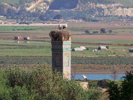 Rabat, la capital del reino alauita