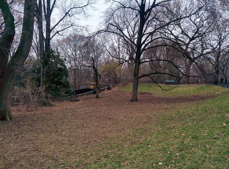 Viajando (1): New York