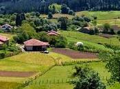 libro propone como crear empleo calidad estable