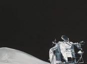 Reseña #25: Últimos