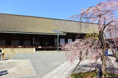 KYOTO: Edificio de Nintendo y Museo del manga
