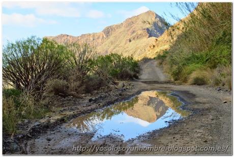 Charco, por la noche había llovido Charco, por la noche había llovido