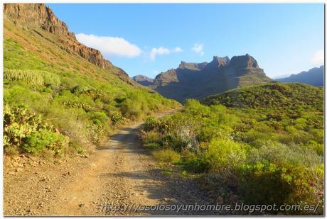 Mucho camino todavía por recorrer Mucho camino todavía por recorrer