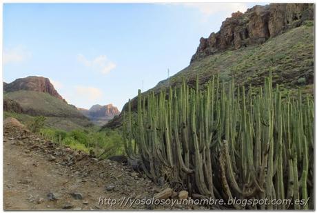 Cada vez más Cada vez más