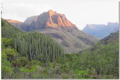 Running en Gran Canaria (y 2): Ruta por barrancos: Maspalomas – embalse de Ayagaures