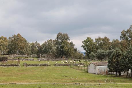 Viaje al valle de Ambroz- Hervas (Cáceres)