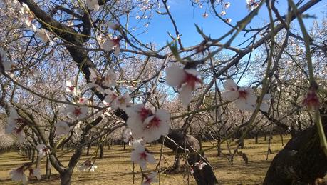 Parque la Quinta de los Molinos