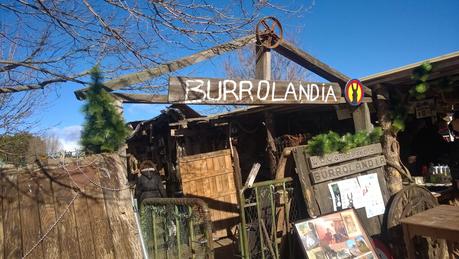 Una mañana de domingo en Burrolandia