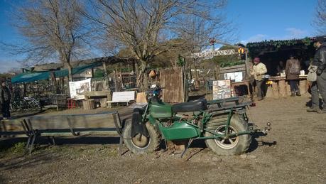 Una mañana de domingo en Burrolandia