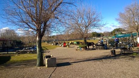 Una mañana de domingo en Burrolandia