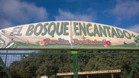 Visita al Bosque Encantado (San Martin de Valdeiglesias)