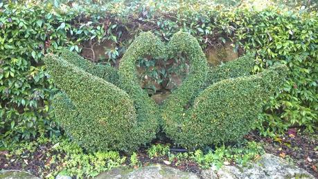 Visita al Bosque Encantado (San Martin de Valdeiglesias)