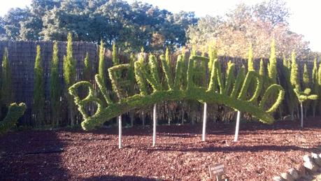 Visita al Bosque Encantado (San Martin de Valdeiglesias)
