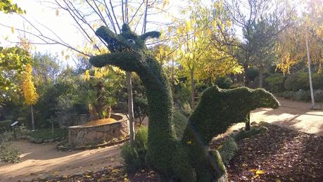 Visita al Bosque Encantado (San Martin de Valdeiglesias)