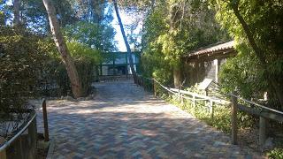 Visita gratuita al Zoo Municipal de Guadalaja