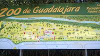 Visita gratuita al Zoo Municipal de Guadalaja
