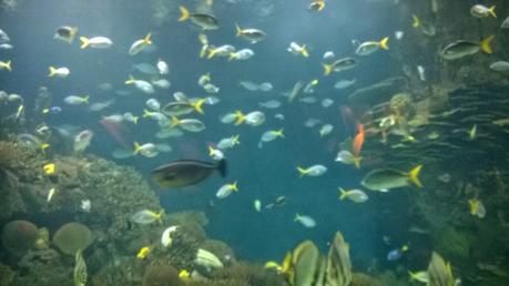 Despidiendo el verano a principios de Noviembre en Gandia