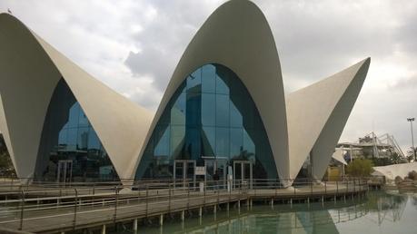 Despidiendo el verano a principios de Noviembre en Gandia
