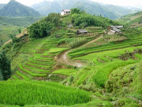 Recorrido por Vietnam - Camboya (septiembre 2005)