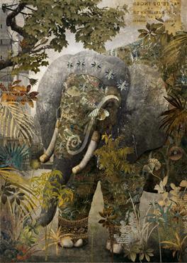 Reseña (30): El libro de la Selva, de Rudyard Kipling Reseña (30): El libro de la Selva, de Rudyard Kipling