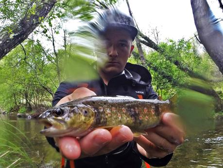 Mis primeras truchas