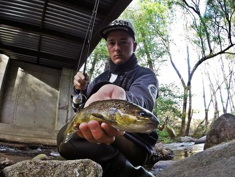 Mis primeras truchas