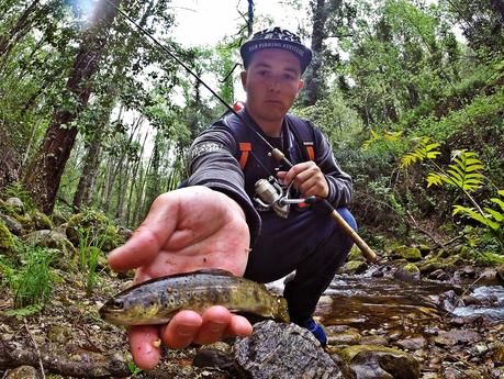 Mis primeras truchas