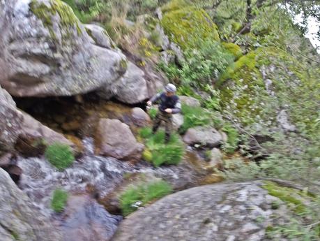 Mis primeras truchas