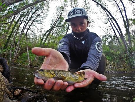 Mis primeras truchas