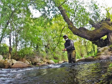 Mis primeras truchas