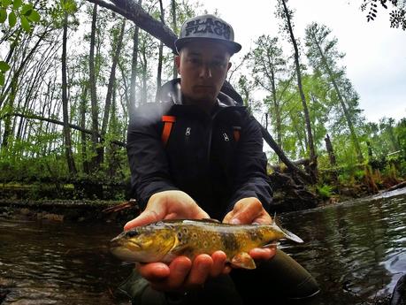 Mis primeras truchas