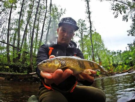 Mis primeras truchas