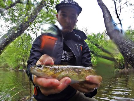 Mis primeras truchas