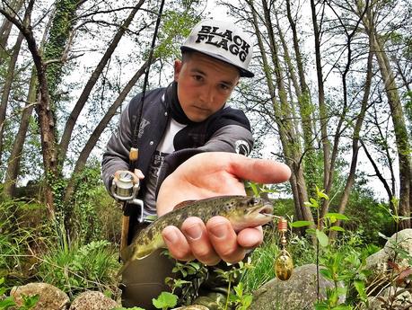 Mis primeras truchas