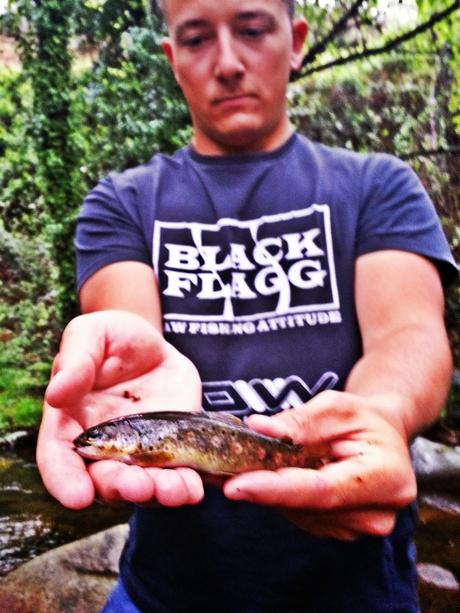 Mis primeras truchas