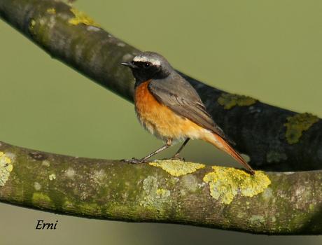 ¡¡VAYA CÓMO ESTÁ LA PRIMAVERA!!