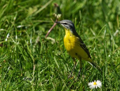 ¡¡VAYA CÓMO ESTÁ LA PRIMAVERA!!