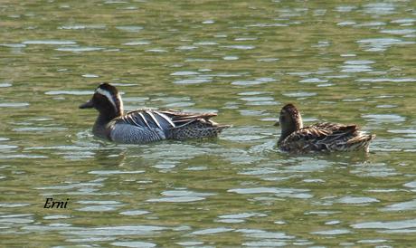 ¡¡VAYA CÓMO ESTÁ LA PRIMAVERA!!