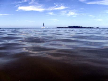 Preparando el futuro. Mi camino hacia la maternidad (con un trasplante de riñón) Parte IV